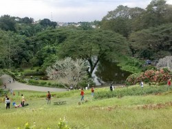 3. Манила - природа