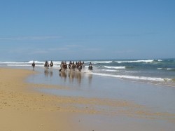 4. Дакс (Францыя) - пляжы Срэбнага берага