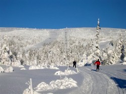 4. Нурефьель (Норвегия) - трасса для беговых лыж
