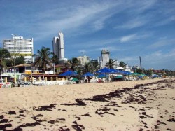 2. Натал (Бразилия) - пляж