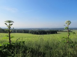 Марыанскія Лазні (Чэхія) - Слаўскі лес
