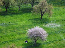 2. Подебрады (Чехия) - весна