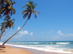 2. Гоа паўднёвы (Індыя) - Пляж Палалем