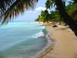 1. Пунта-Кана (Доминикана) - пляж