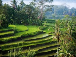 4. Бали (Индонезия) - природа