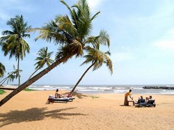 1. Ваддува (Шри-Ланка) - пляж