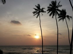 3. Ваддува (Шри-Ланка) - пляж