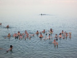 2. Мертвое море (Иордания) - купание в море