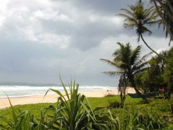 2. Негомбо (Шри-Ланка) - пляж