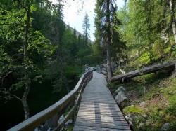 4. Пюхя и Луосто (Финляндия) - природа