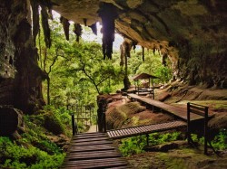 4. Саравак (Малайзия) - пещеры Ниах