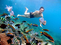 1. Реданг (Малайзия) - богатый подводный мир