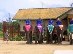 2. Бинтан (Индонезия) - слоновый парк
