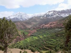 4. Укаймеден (Марокко) - природа