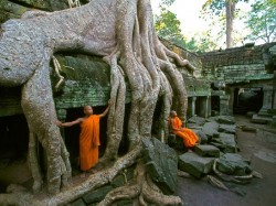 Камбоджа - Манахі ў Ангкор Ват