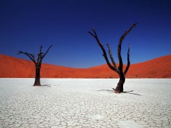 Намібія - пустыня Наміб