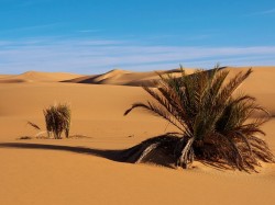 Маўрытанія - пустыня