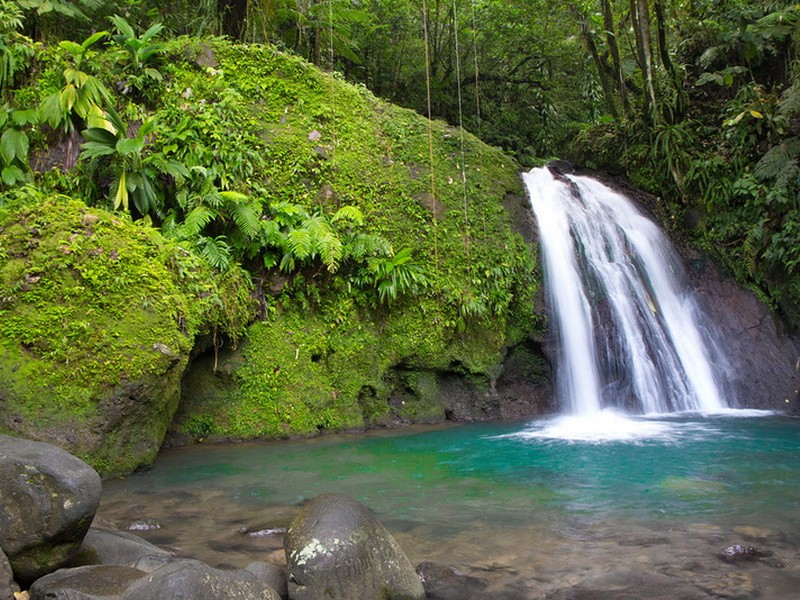 Гваделупа - Водопады 