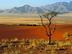 Батсвана - Пустыня