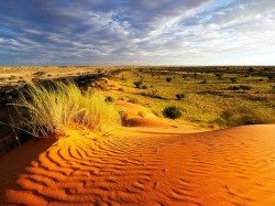 Батсвана - Пустыня