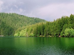 Чехия - национальный парк Шумава