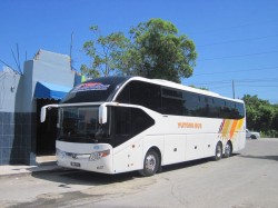1. Доминикана - экспрессный автобус