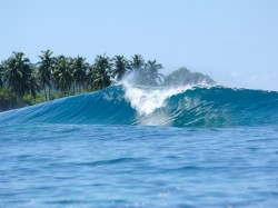 2. Мальдивы - - серфинг
