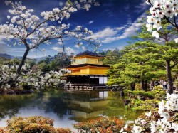 Япония - Золотой павильон
