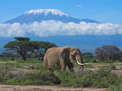 1. Танзания - вулкан Килиманджаро