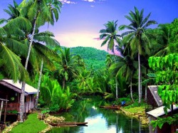 Филиппины - тропические леса