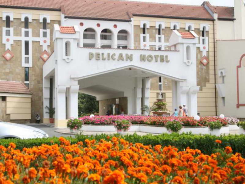 Пеликан 4* / Pelikan 4