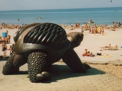Юрмала - Черепаха на пляже Майори