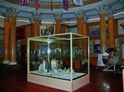 4. Санкт-Петербург - музей Арктики и Антарктики 