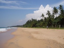 2. Индурува (Шри-Ланка)