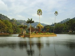 4. Канди (Шри-Ланка)