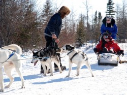 2. Квитфьель (Норвегия) - катание на собачьих упряжках