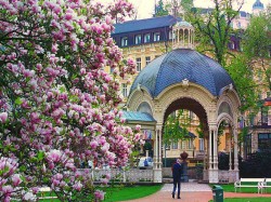 2. Карловы Вары (Чехия) - весна