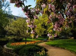 2. Марианские Лазни (Чехия) - весна