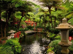 Мадейра - ботанический сад в Фуншале