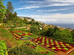 2. Мадейра - ботанический сад в Фуншале