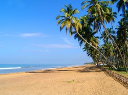 1. Коггала (Шри-Ланка) - песчаный пляж