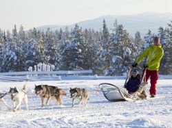 2. Леви (Финляндия) - катание на собачьих упряжках