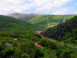 Цахкадзор (Армения) - природа