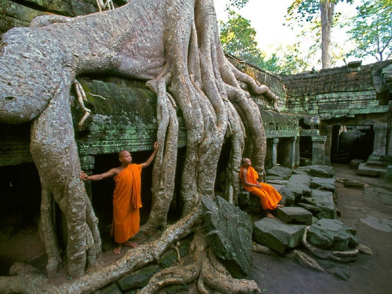 Камбоджа - Манахі ў Ангкор Ват 