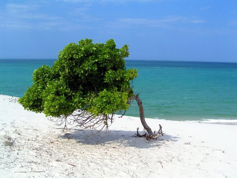 Мозамбик - Пляж  