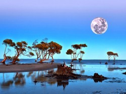 Намибия - лунный пейзаж