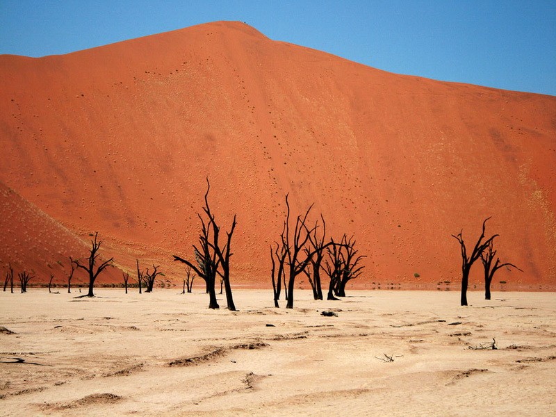 Замбия -  Пустыня 