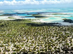 Кирибати - Природа
