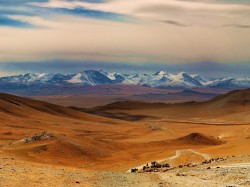 Монголия - пустыня