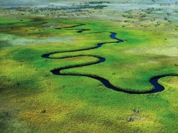 Ботсвана - река Окаванго